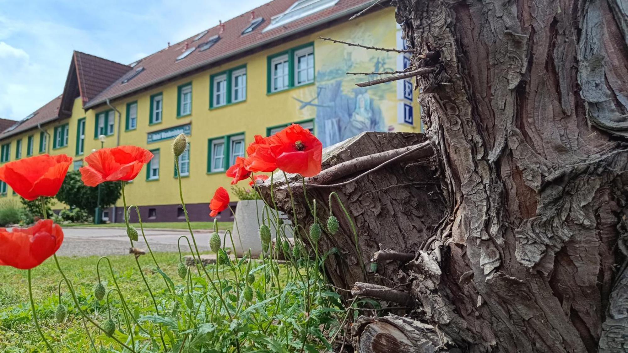 Hotel Wandersleben - Erfurt المظهر الخارجي الصورة