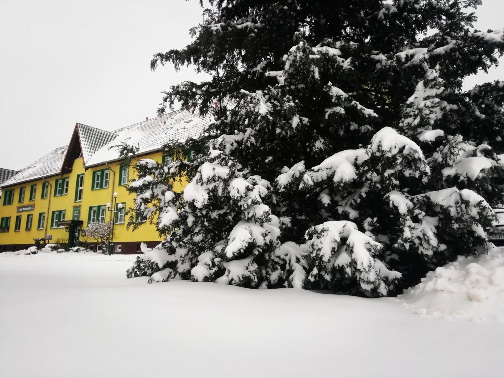 Hotel Wandersleben - Erfurt المظهر الخارجي الصورة